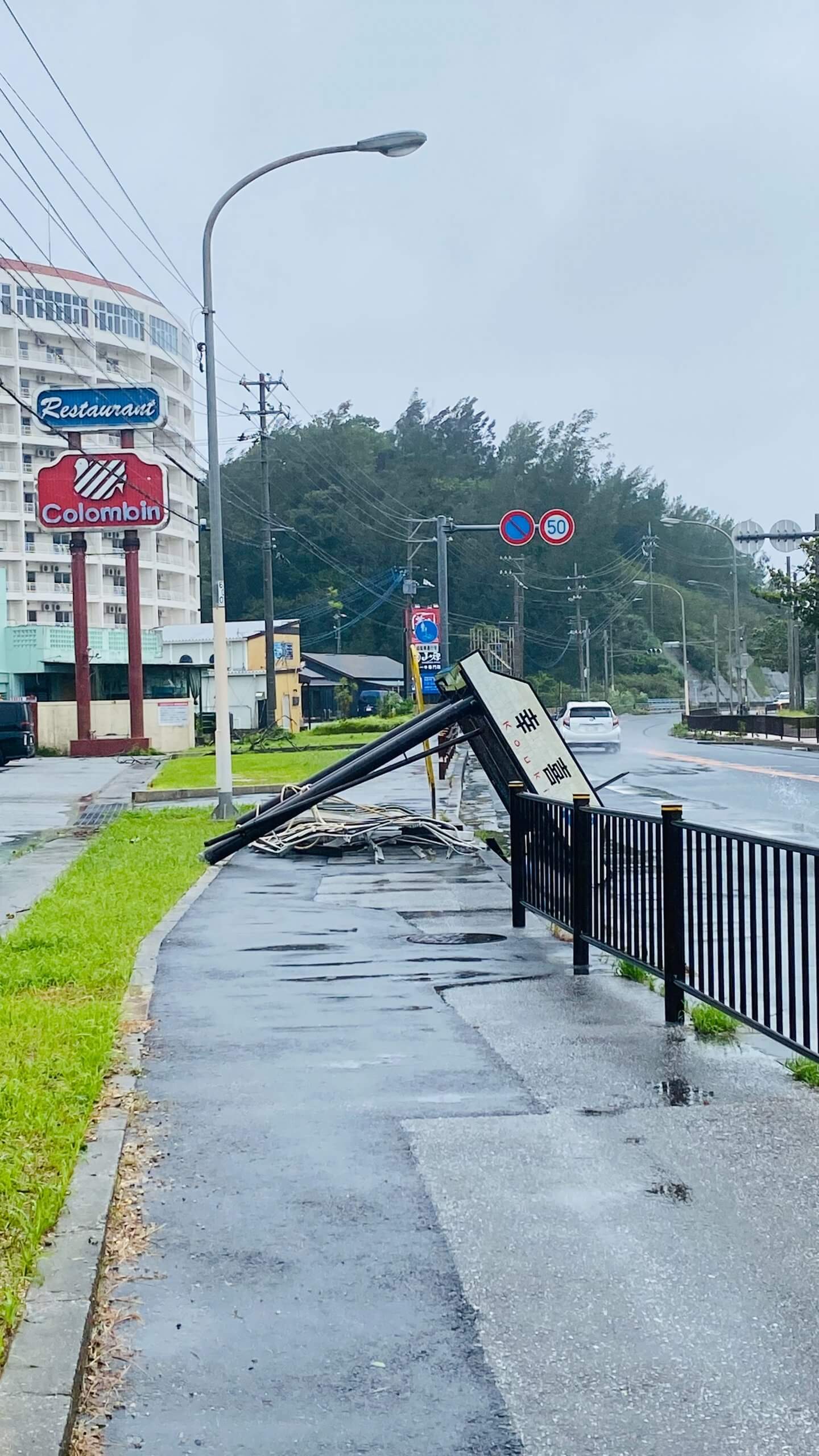 【お天気気象転結】台風、そして鳥のこと……