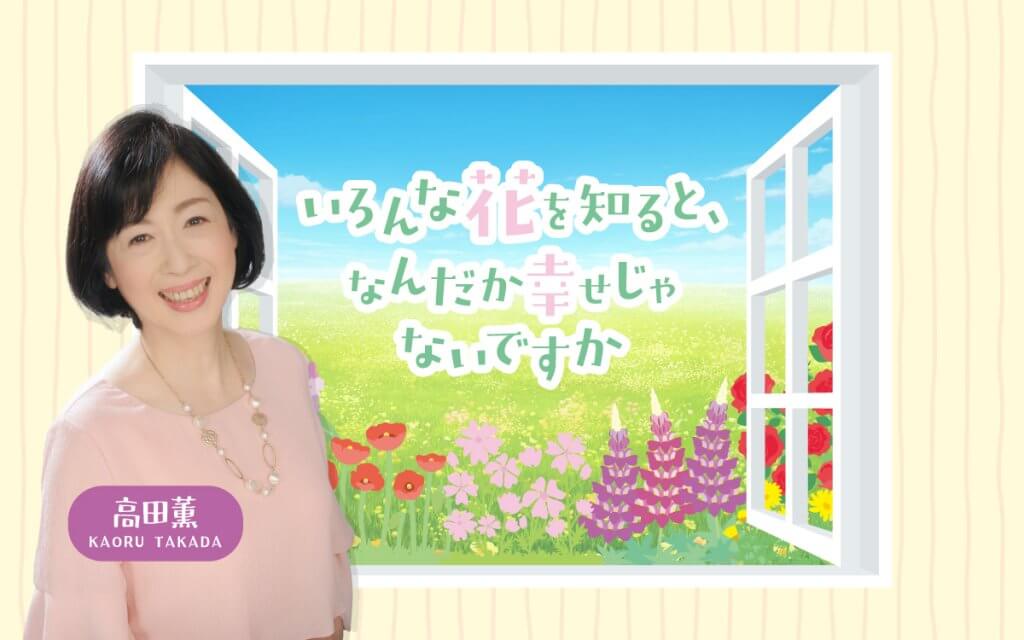 irohana_1200_20251218-1024x640.jpg